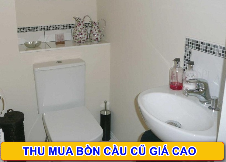 mua bồn cầu cũ tại Tp HCM