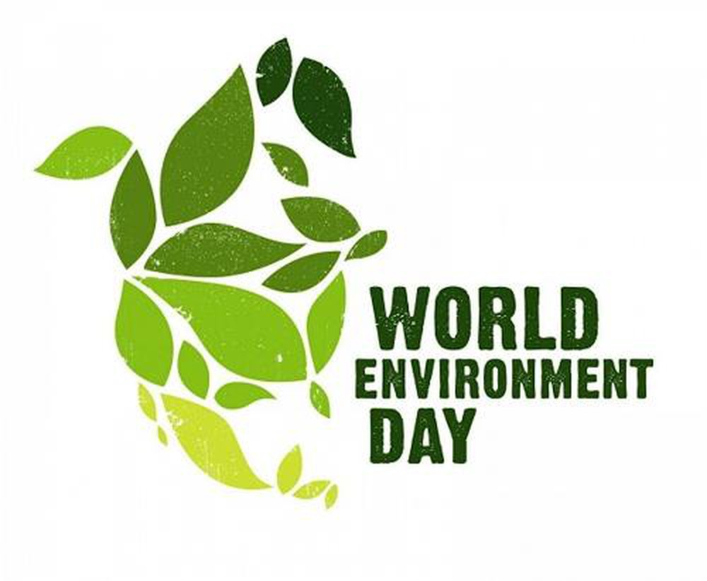 Ngày môi trường thế giới là gì?